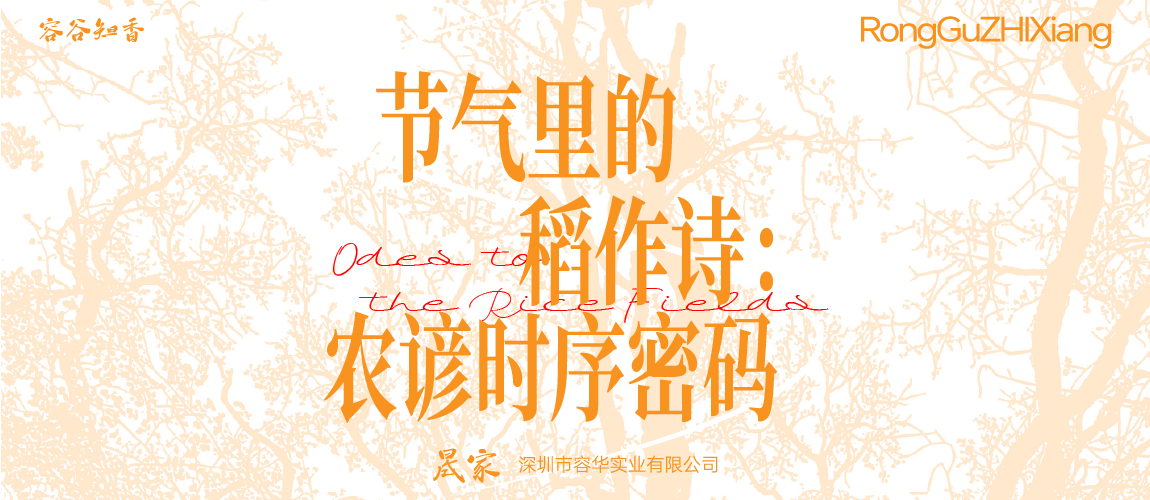 节气里的稻作诗：农谚时序密码（下）